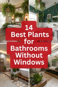 14 Best Plants for Bathrooms Without Windows: Complete Design Guide