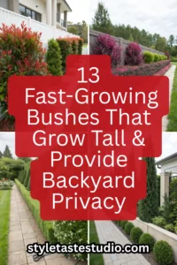 13 Fast-Growing Bushes That Grow Tall & Provide Backyard Privacy