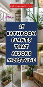 15 Best Bathroom Plants That Absorb Moisture and Reduce Humidity Naturally