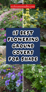 15 Best Flowering Ground Covers for Shade