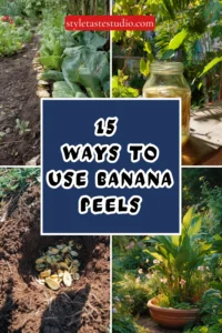 15 Ways to Use Banana Peels in Your Garden