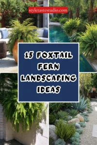 15 Foxtail Fern Landscaping Ideas