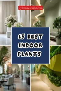 15 Best Indoor Plants That Don’t Need Sunlight