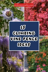 15 Climbing Vine Fence Ideas