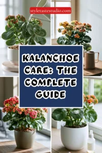 Kalanchoe Care: The Complete Guide to Growing Healthy, Blooming Plants